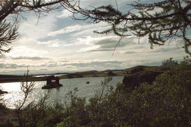 Lavafelsen im M&yacute;vatn