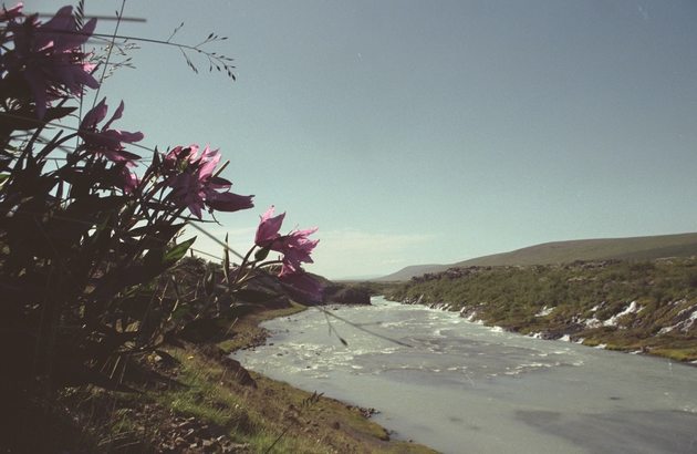 Hv�t� hinter dem Hraunfossar